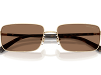 Pale Gold / Dark Brown (300673)