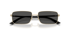 Pale Gold / Dark Grey (300687)