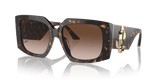 Havana / Gradient Brown