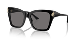 Black / Polarized Dark Grey (500081)