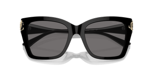 Black / Polarized Dark Grey (500081)