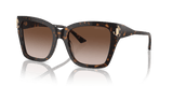 Havana / Gradient Brown (500213)