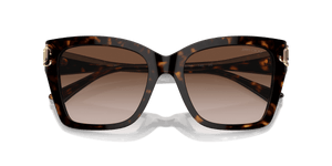 Havana / Gradient Brown (500213)