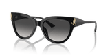 Black / Dark Grey