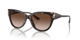 Havana / Gradient Brown