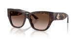 Havana / Gradient Brown