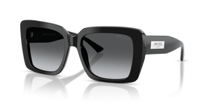 Black / Polarized Gradient Gray