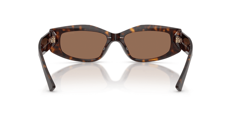 Jimmy Choo JC5046BU in Havana / Dark Brown (500273) - Alternate View