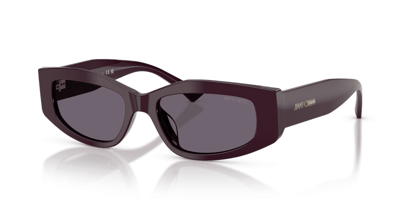Jimmy Choo JC5046BU in Prune / Violet (50751A) - Alternate View