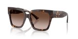 Havana / Gradient Brown (500213)