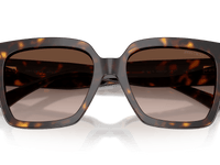 Havana / Gradient Brown (500213)