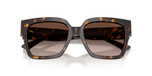 Havana / Gradient Brown (500213)
