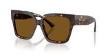 Havana / Polarized Brown (500283)
