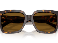 Havana / Polarized Brown (500283)