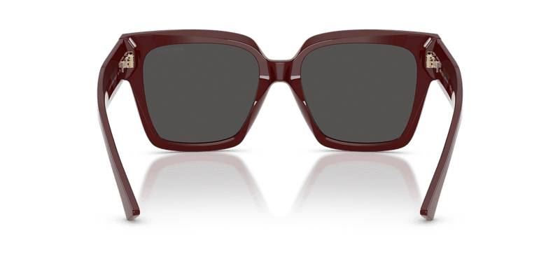 Jimmy Choo JC5047B in Cranberry / Dark Grey (505787) - Alternate View