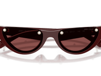 Cranberry / Dark Violet (505775)
