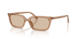 Transparent Tan / Light Brown (507693)