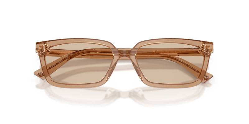 Jimmy Choo JC5050U in Transparent Tan / Light Brown (507693) - Alternate View
