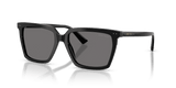 Black / Dark Gray