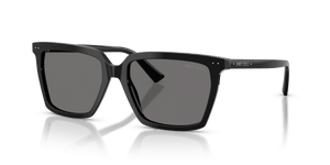 Black / Dark Gray