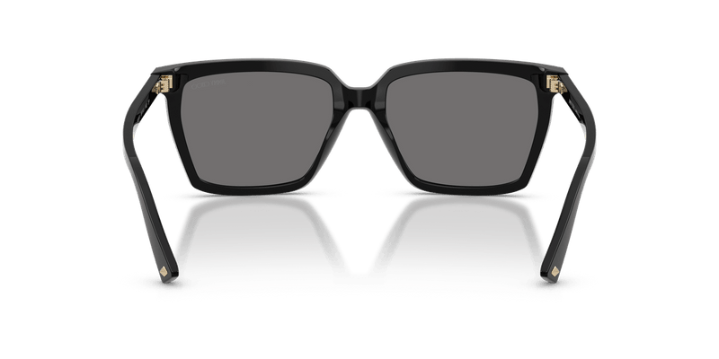 Jimmy Choo JC5051 in Black / Dark Gray - Back View