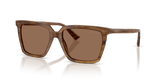 Brown Havana / Dark Brown