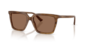 Brown Havana / Dark Brown