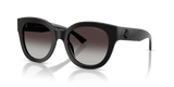 Black / Gradient Gray