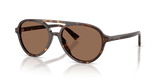 Havana / Dark Brown