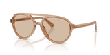Transparent Tan / Brown