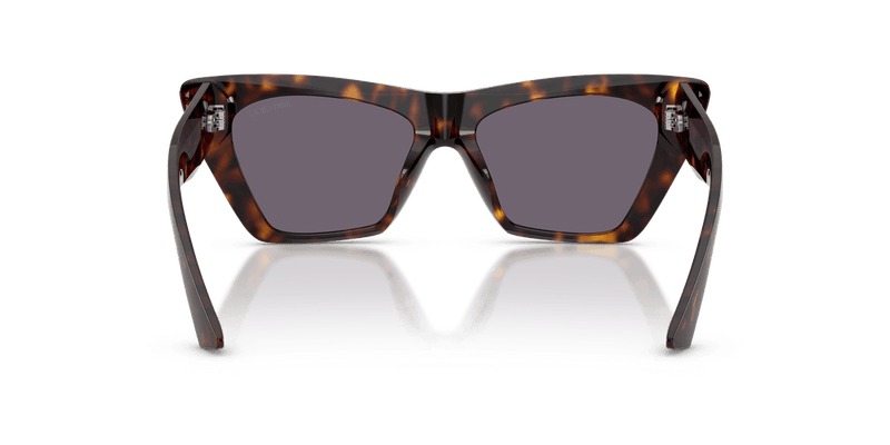 Jimmy Choo JC5062U in Havana / Violet (50021A) - Alternate View