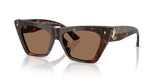 Havana / Dark Brown (500273)