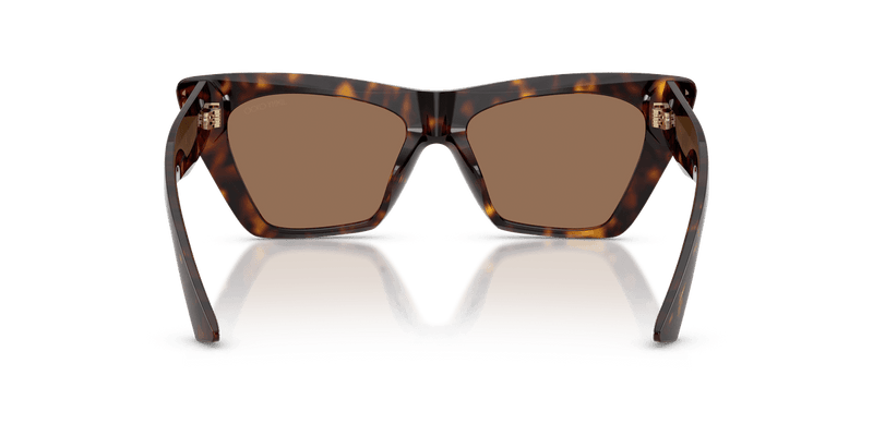 Jimmy Choo JC5062U in Havana / Dark Brown (500273) - Alternate View