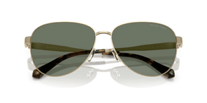 Light Gold Shiny / Green Solid (10143H)