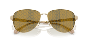 Light Gold / Dark Brown (10149A)