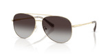 Light Gold / Grey Gradient (10148G)