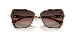 Luggage Tortoise / Brown Gradient (4031E2)