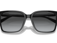 Black / Grey Gradient Polarized (3005T3)