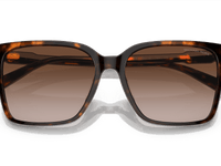 Dark Tortoise / Brown Gradient (300613)