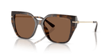 Dark Tortoise / Dark Brown Solid