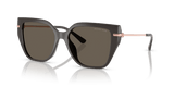 Ash / Ash Solid