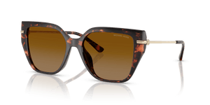 Luggage Tortoise / Brown Polarized