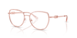 Pink Transparent (3101)