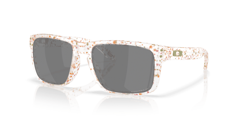 Oakley HOLBROOK OO9102 in Clear Terrazzo / Prizm Black Polarized - Alternate View