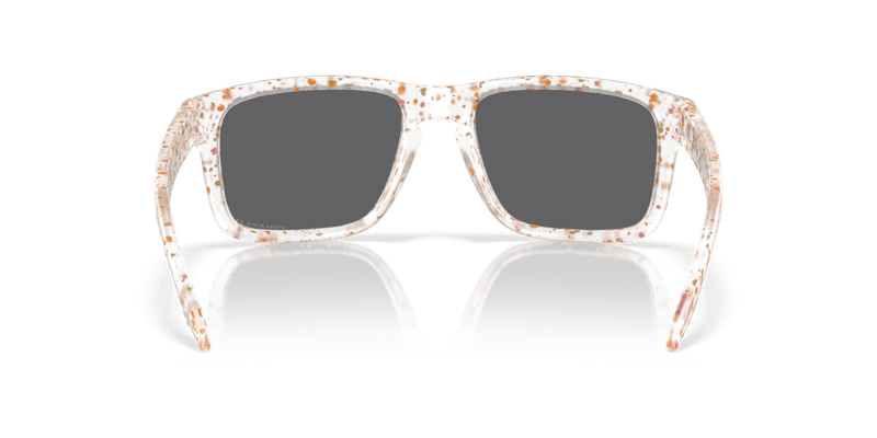 Oakley HOLBROOK OO9102 in Clear Terrazzo / Prizm Black Polarized - Alternate View