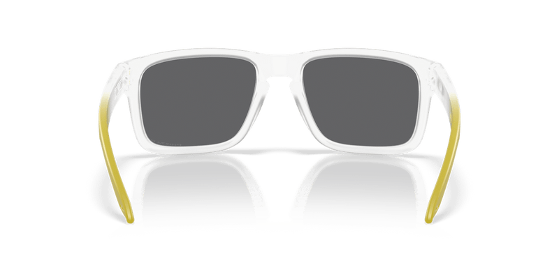 Oakley HOLBROOK OO9102 in Matte Clear / Prizm Black Polarized - Alternate View