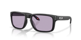 Matte Black / Prizm Slate