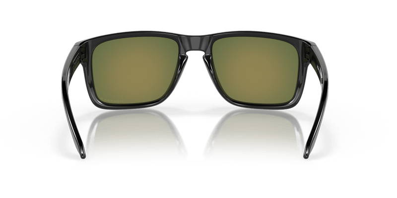 Oakley HOLBROOK XL in Black Ink / Prizm Ruby Polarized - Alternate View