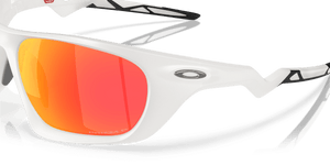 Matte Vapor / Prizm Ruby Polarized (943110)