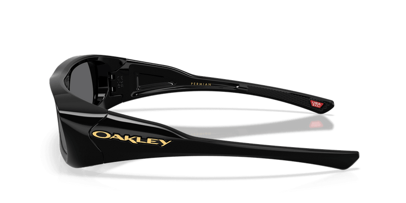 Oakley PERMIAN OO9520 in Black / Prizm Black (952001) - Alternate View